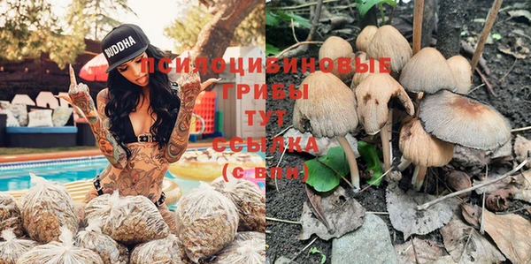 МДПВ Навашино