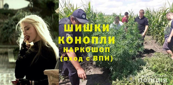 МДПВ Навашино
